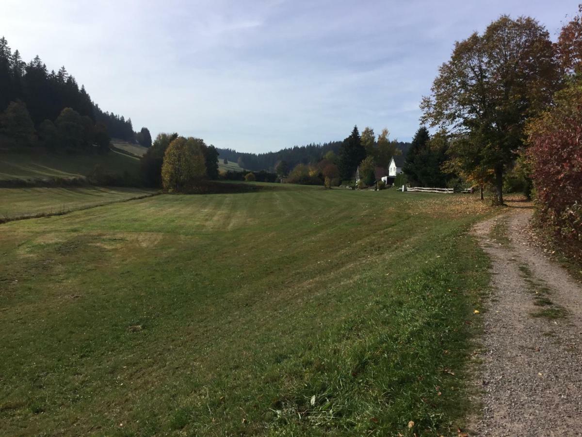 Gemuetliche 1Z Fewo In Schoenwald Mit Balkon, Schwimmbad, Sauna, Fitness Eksteriør bilde