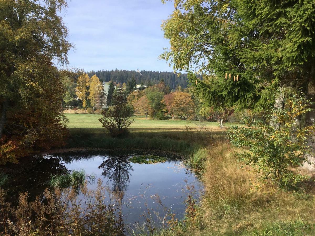Gemuetliche 1Z Fewo In Schoenwald Mit Balkon, Schwimmbad, Sauna, Fitness Eksteriør bilde